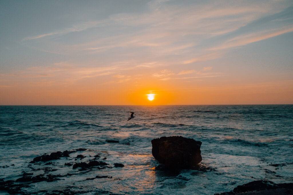 Ess Sunset